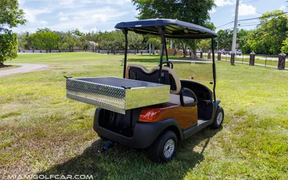 Club Car Precedent Cargo
