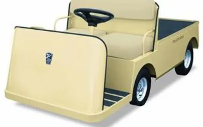 Taylor-Dunn B 125
